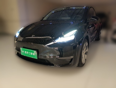 Tesla Model Y 2021 car image 