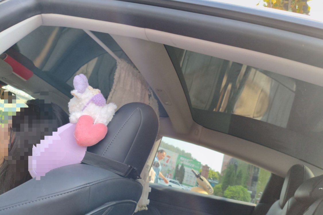 Tesla Model 3 2023 car image #22