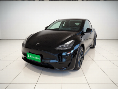 Tesla Model Y 2023 car image 