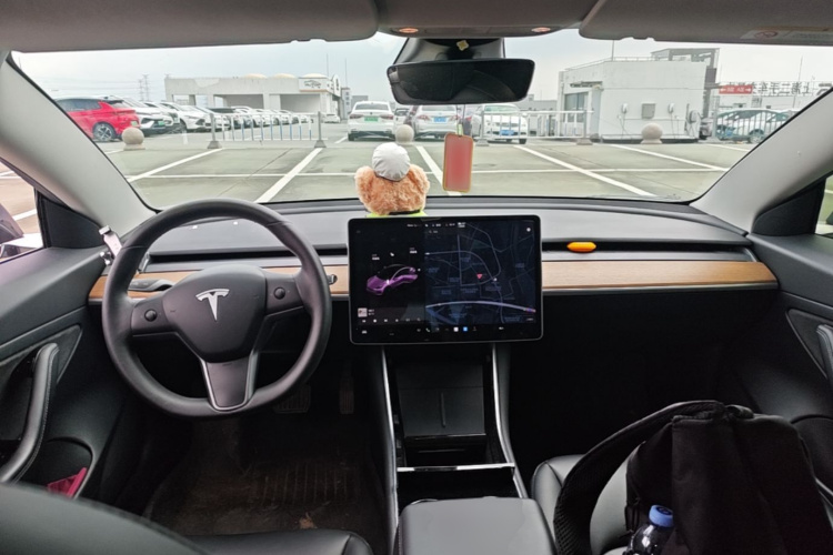 Tesla Model 3 2020 #10 Tesla Model 3 2020 car image #10