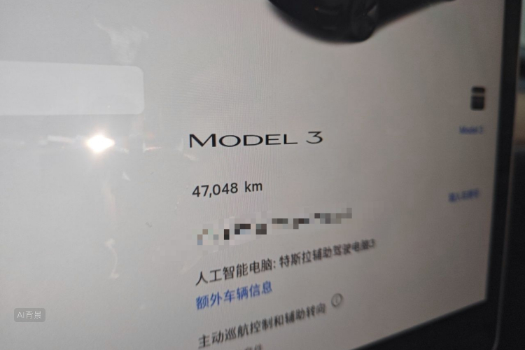 Tesla Model 3 2022 car image #14