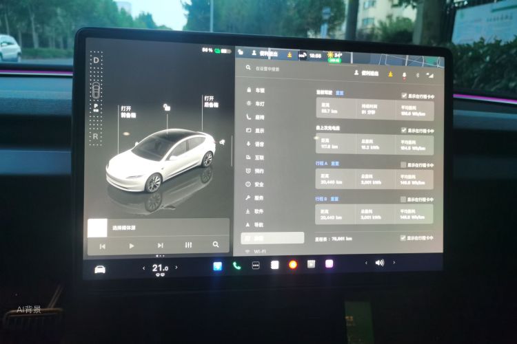 Tesla Model 3 2023 car image #13