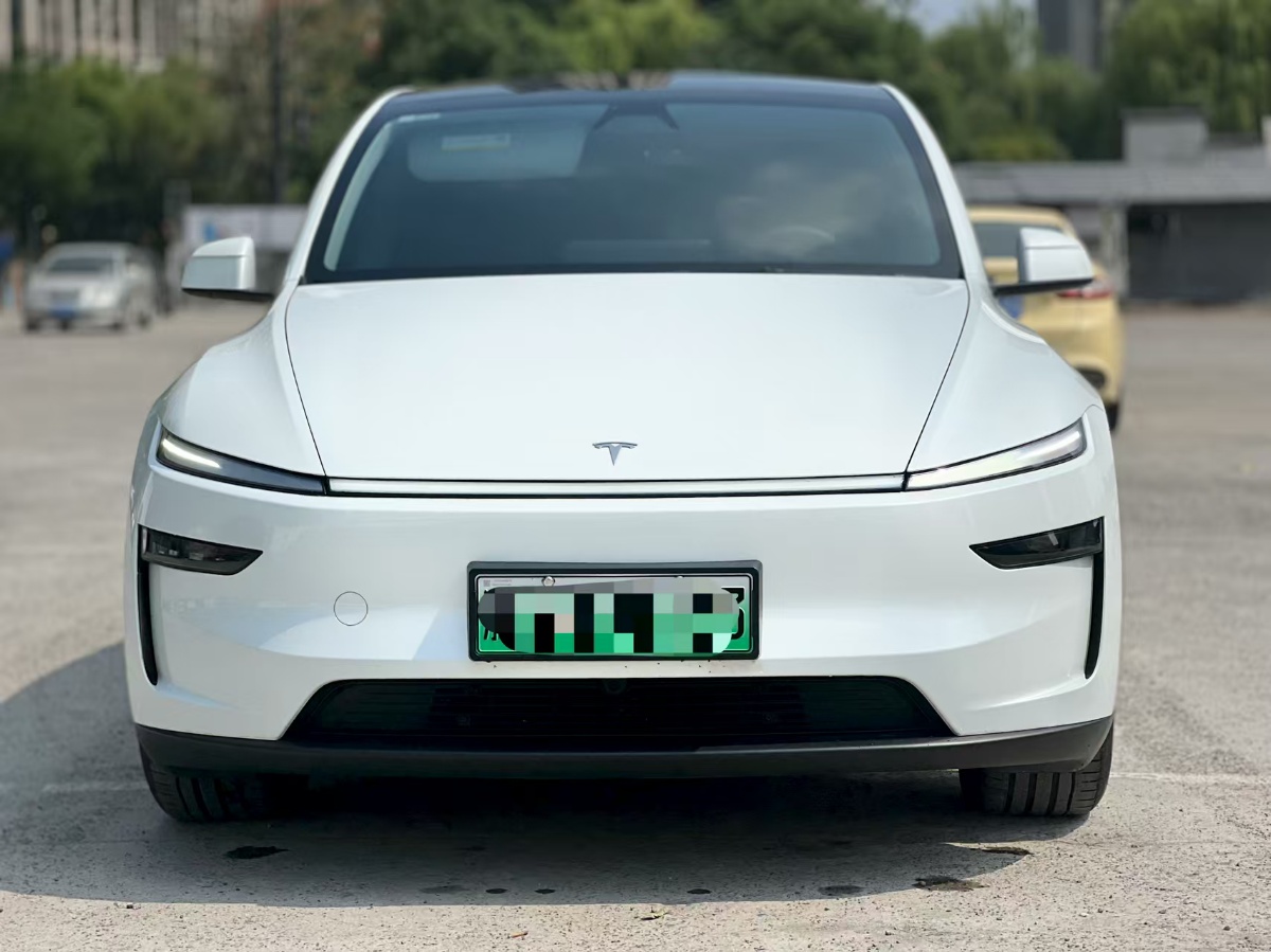 Tesla Model Y 2025 Tesla Model Y 2025 car image