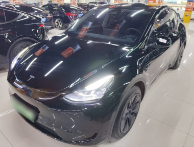 Tesla Model Y 2024 imagem de carro 