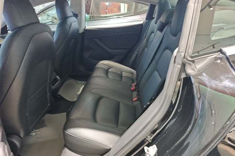 Tesla Model 3 2020 #17 Tesla Model 3 2020 car image #17