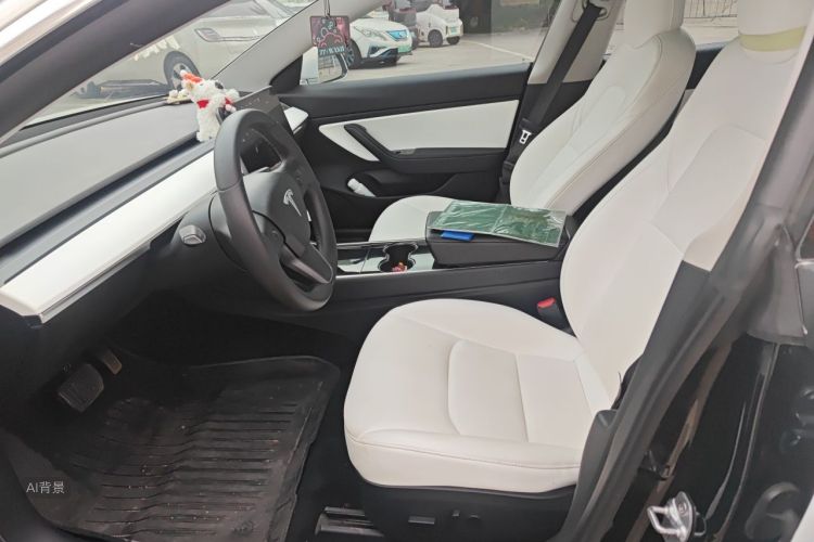 Tesla Model 3 2020 car image #17