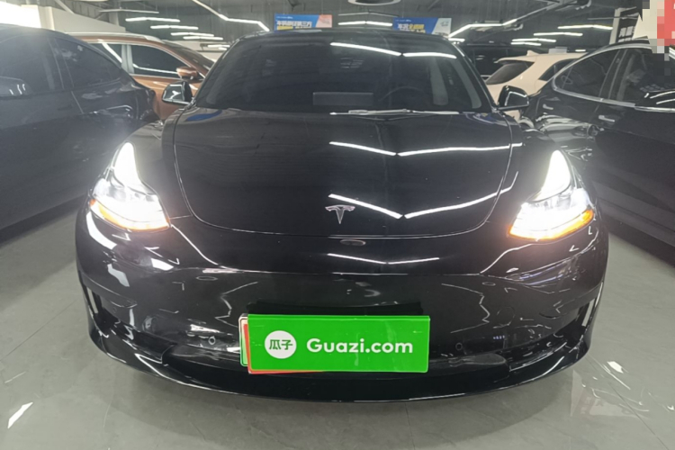 Tesla Model 3 2021 #3 Tesla Model 3 2021 car image #3