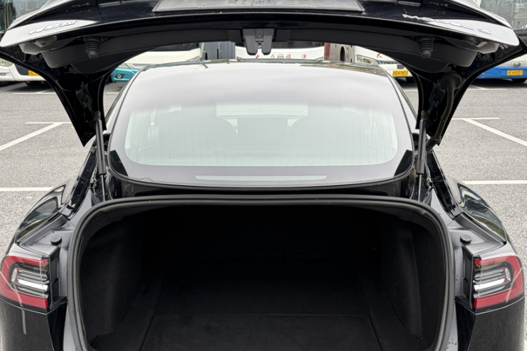 Tesla Model 3 2020 imagem de carro #17