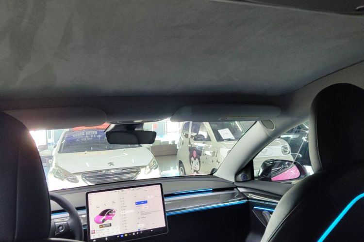 Tesla Model 3 2021 #18 Tesla Model 3 2021 car image #18