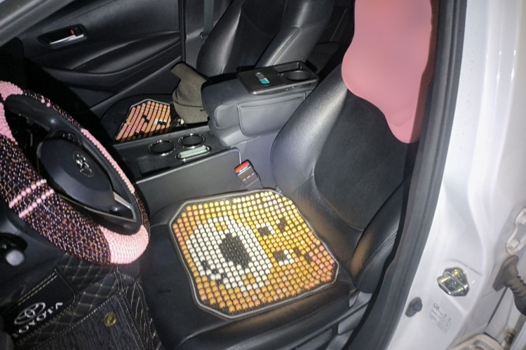 Toyota Corolla 2021 car image #19