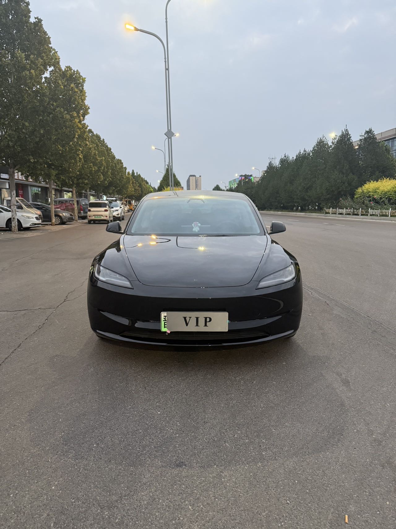 Tesla Model 3 2024 #2 Tesla Model 3 2024 car image #2