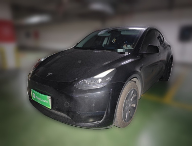 Tesla Model Y 2023 Tesla Model Y 2023 car image