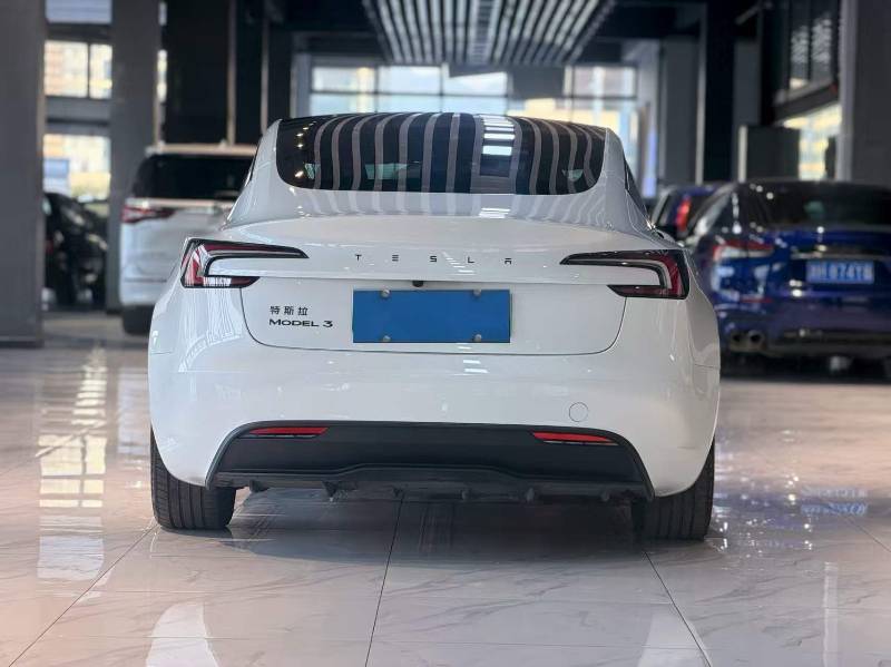 Tesla Model 3 2025 #6 Tesla Model 3 2025 car image #6
