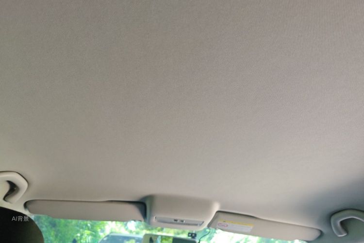 Volkswagen Polo 2015 car image #20