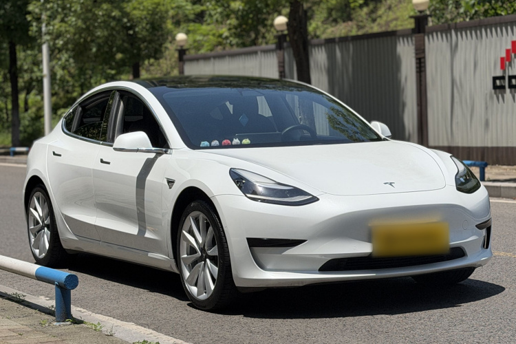 Tesla Model 3 2020 car image #4