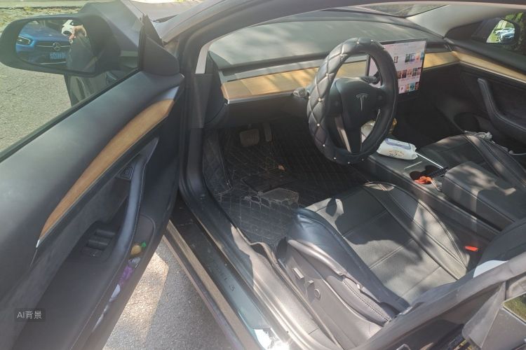 Tesla Model 3 2021 #18 Tesla Model 3 2021 car image #18