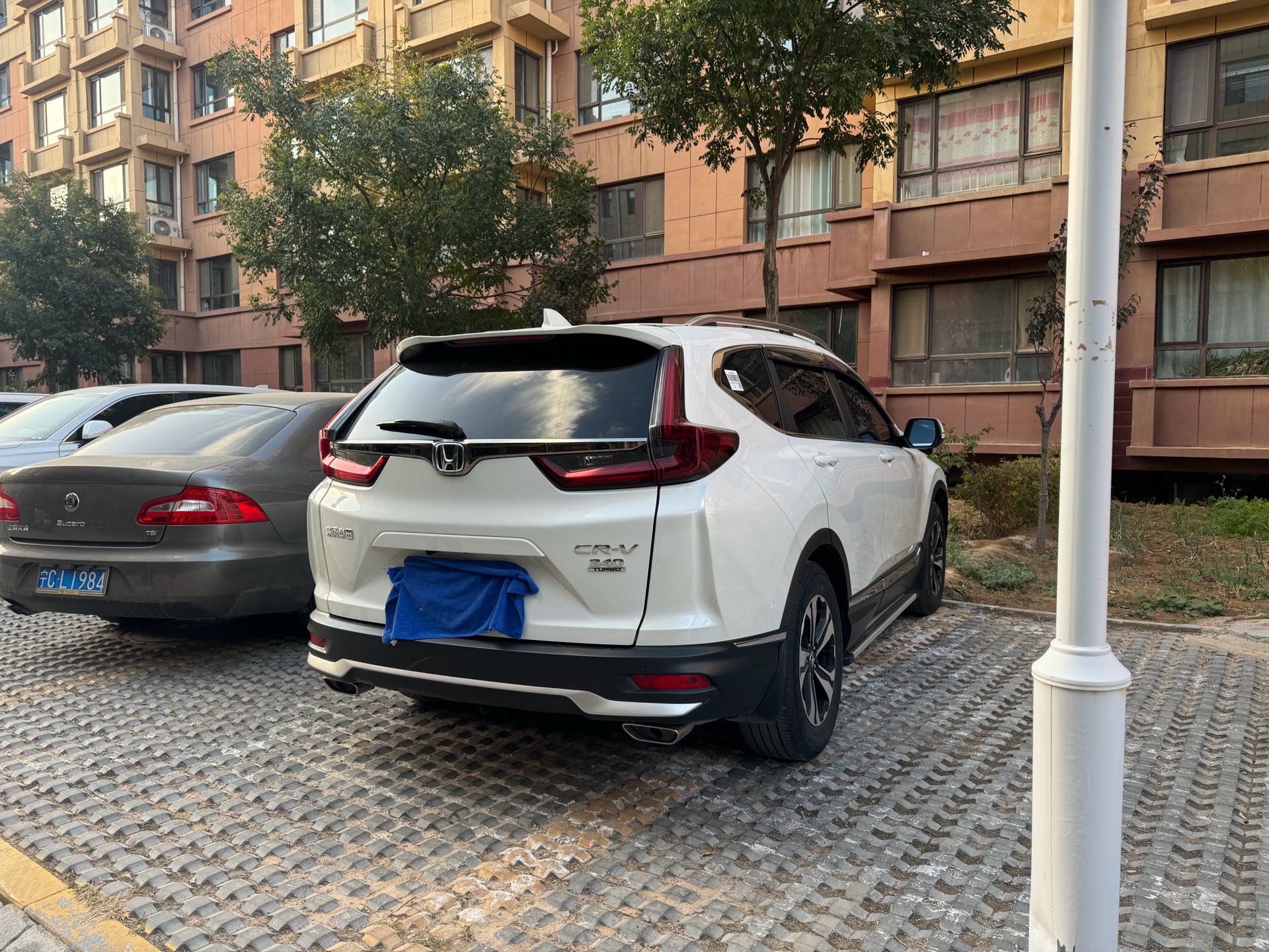 Honda CR-V 2021 #5 Honda CR-V 2021 immagine di auto #5