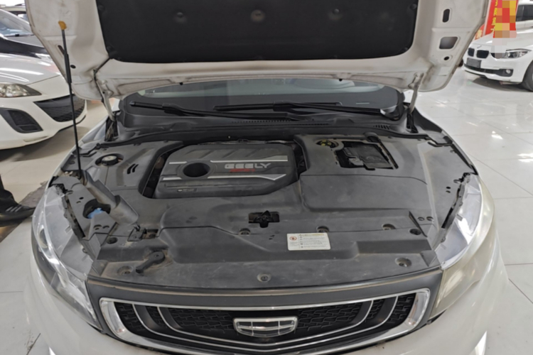 GEELY Emgrand GL 2020 imagem de carro #20