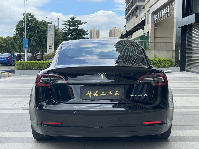 Tesla Model 3 2020 #5 Tesla Model 3 2020 car image #5