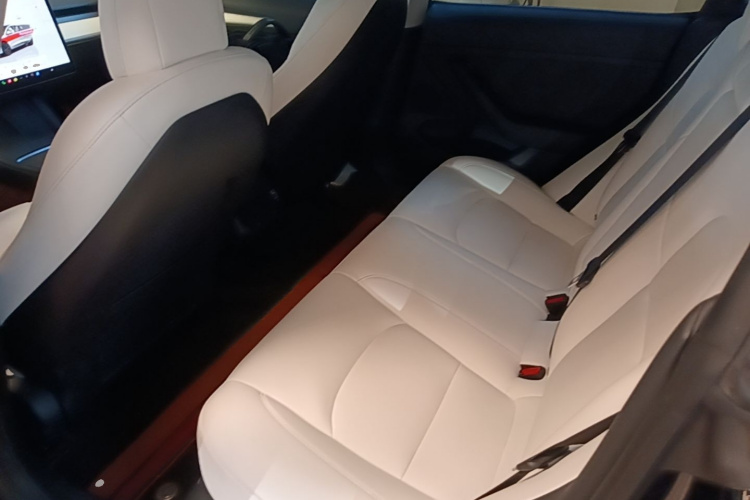 Tesla Model 3 2022 car image #17
