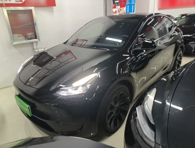 Tesla Model Y 2023 Tesla Model Y 2023 car image