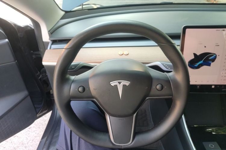 Tesla Model 3 2020 car image #11