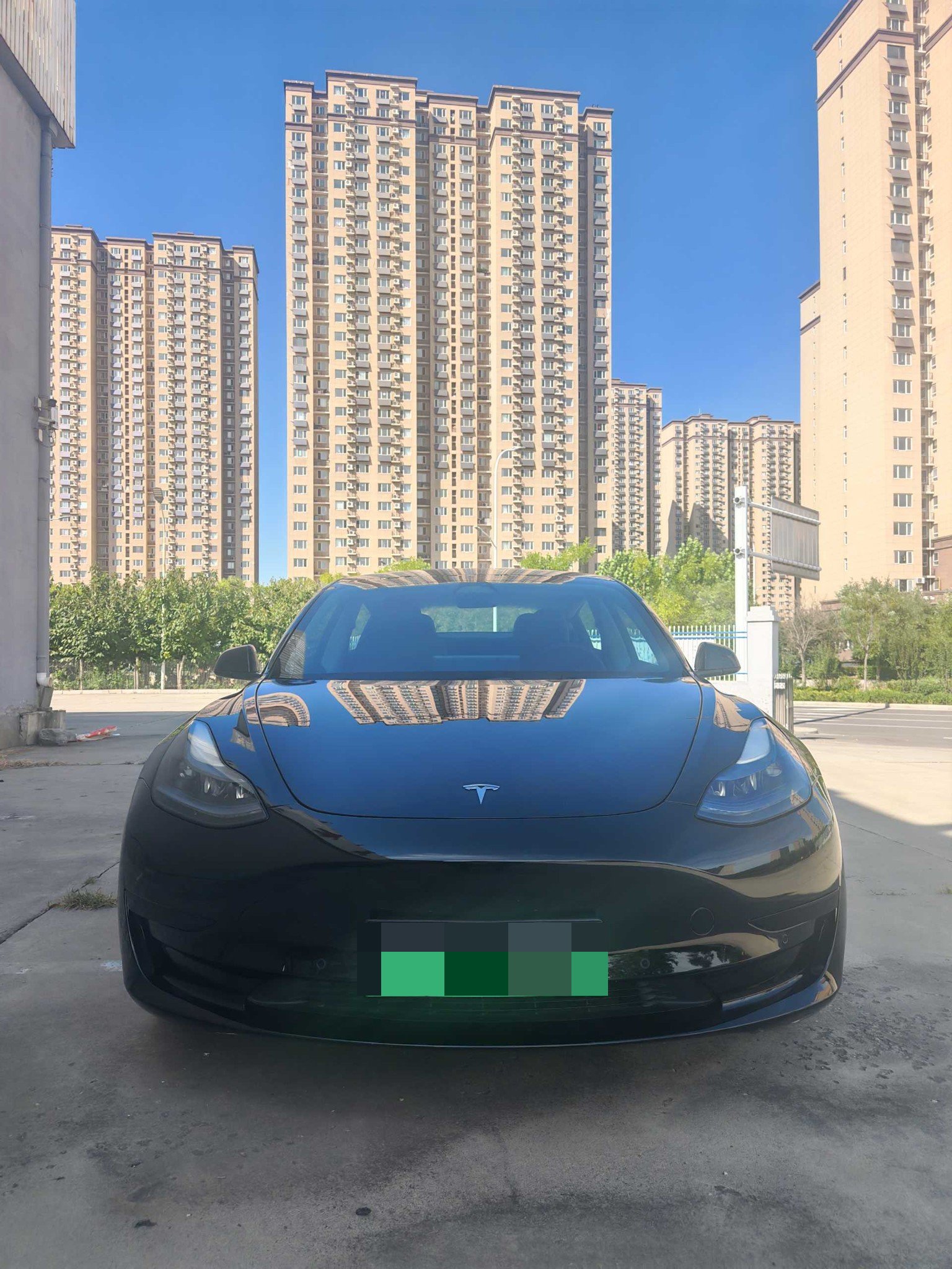 Tesla Model 3 2023 #2 Tesla Model 3 2023 car image #2