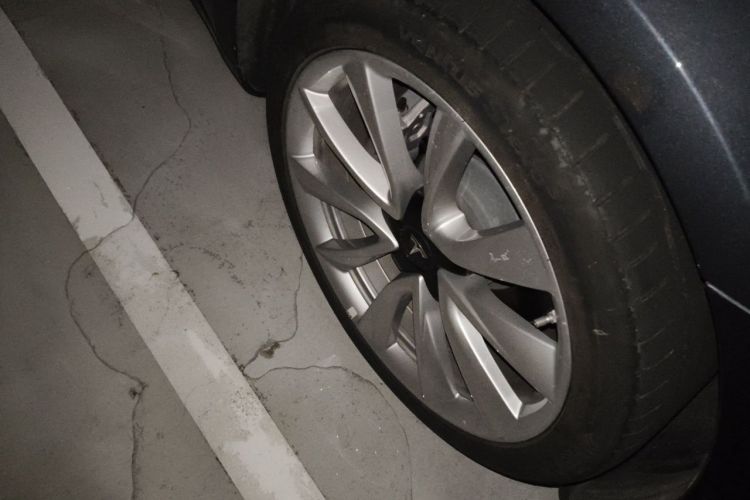 Tesla Model 3 2020 car image #6