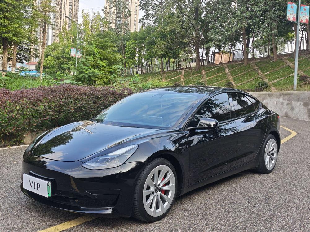 Tesla Model 3 2021 Tesla Model 3 2021 car image