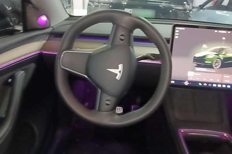 Tesla Model Y 2022 car image #15