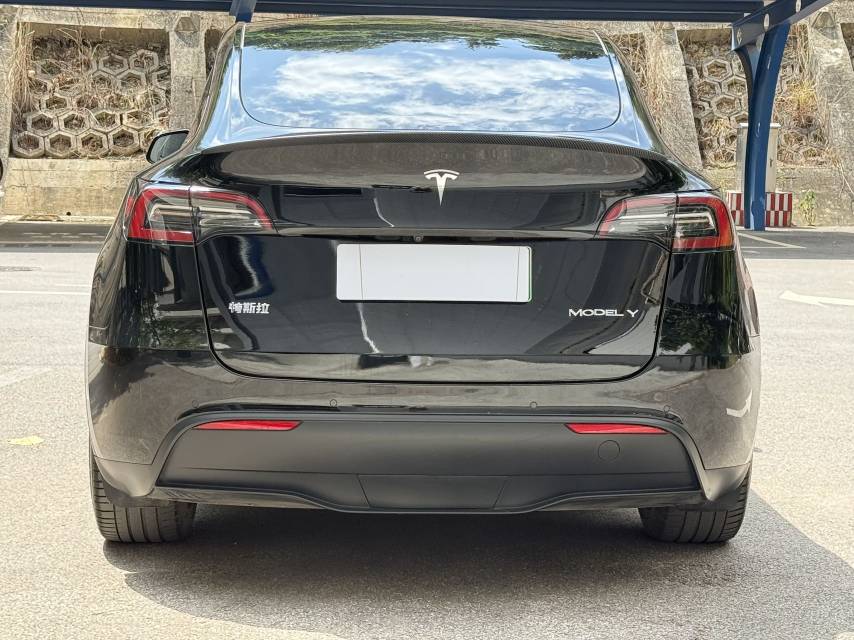 Tesla Model Y 2024 #10 Tesla Model Y 2024 car image #10