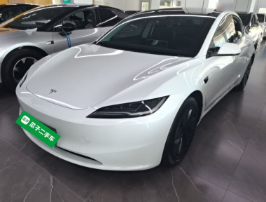 Tesla Model 3 2024 car image 