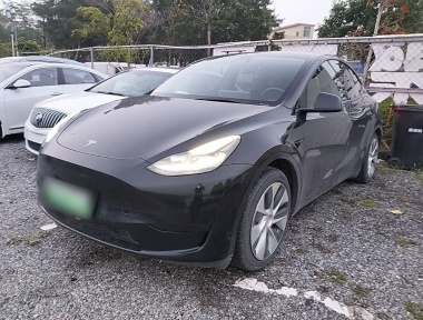 Tesla Model Y 2022 car image 