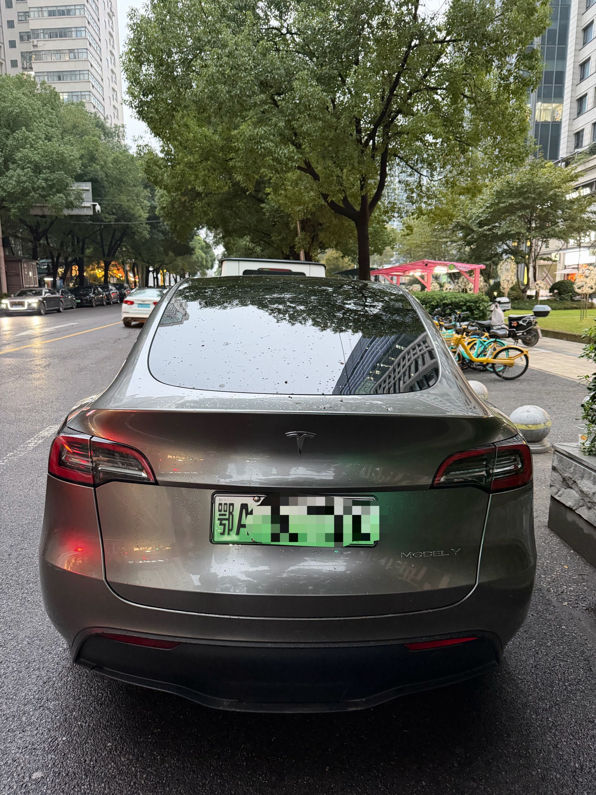 Tesla Model Y 2024 car image #5