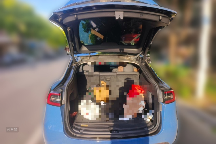 Tesla Model Y 2022 car image #21