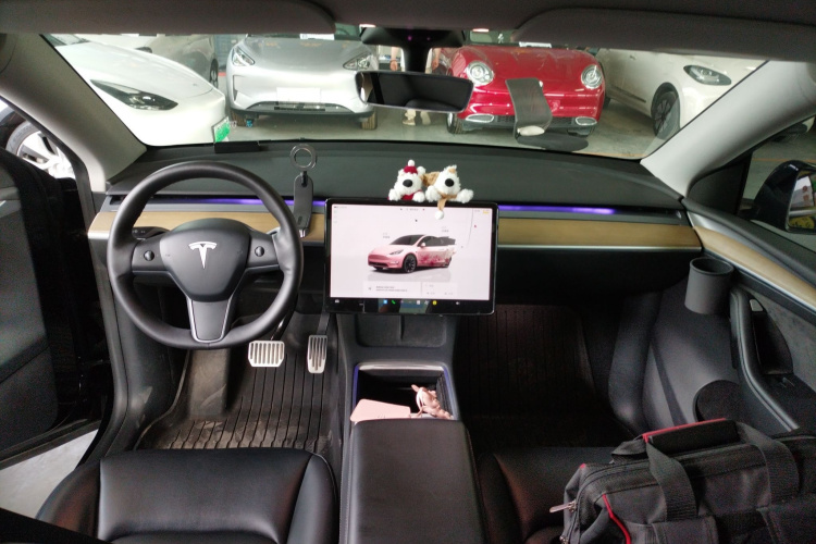 Tesla Model Y 2023 car image #10