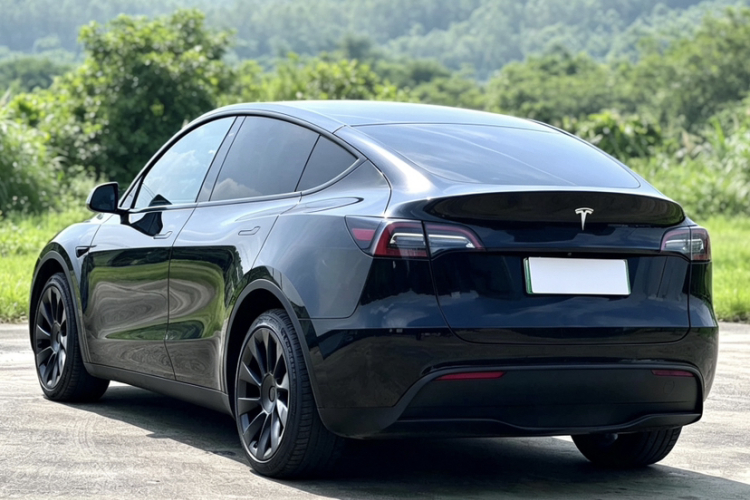 Tesla Model Y 2021 #14 Tesla Model Y 2021 car image #14
