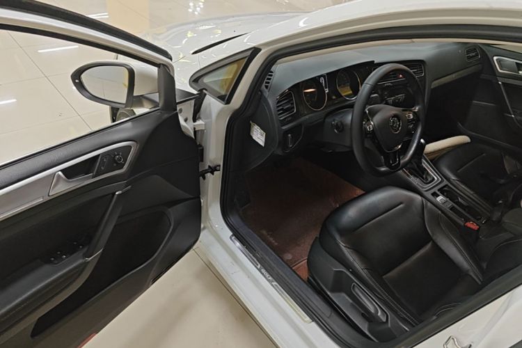Volkswagen Golf 2019 #16 Volkswagen Golf 2019 car image #16