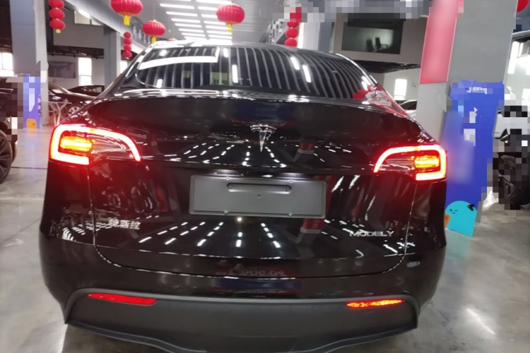 Tesla Model Y 2023 car image #6