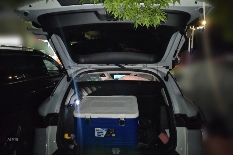 BYD Yuan Plus 2024 #21 BYD Yuan Plus 2024 imagen de coche #21