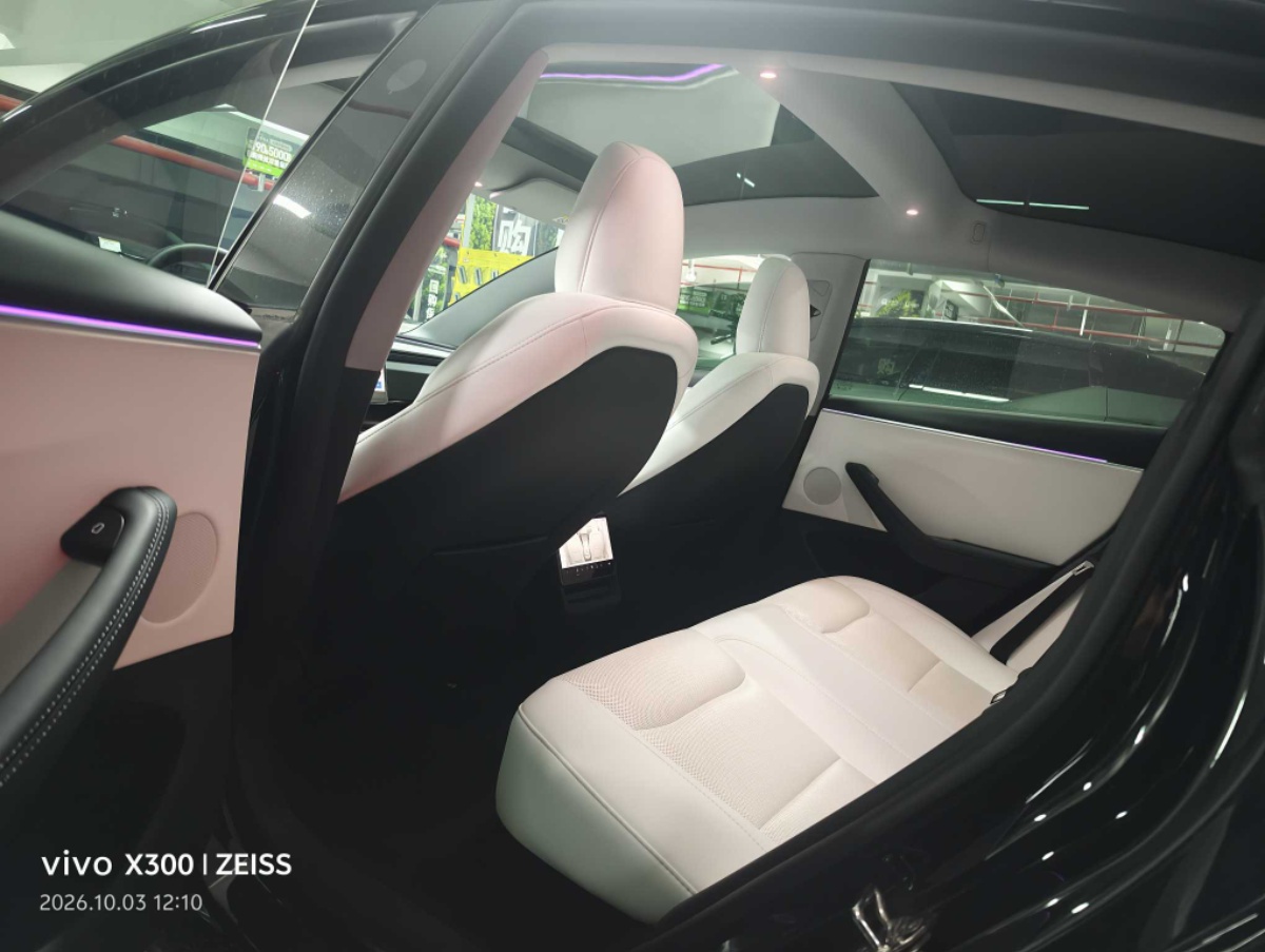 Tesla Model 3 2023 car image #5