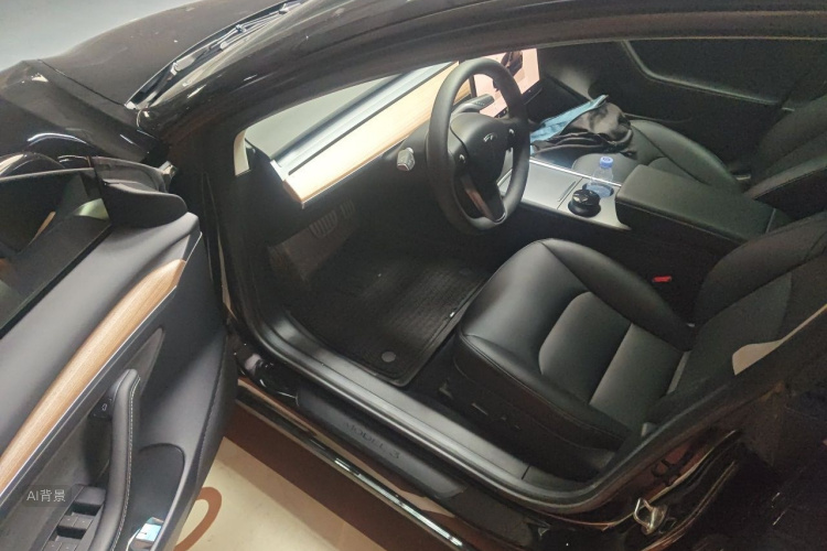 Tesla Model 3 2022 car image #18