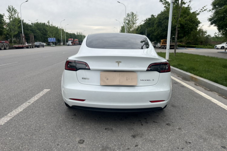 Tesla Model 3 2021 #5 Tesla Model 3 2021 car image #5