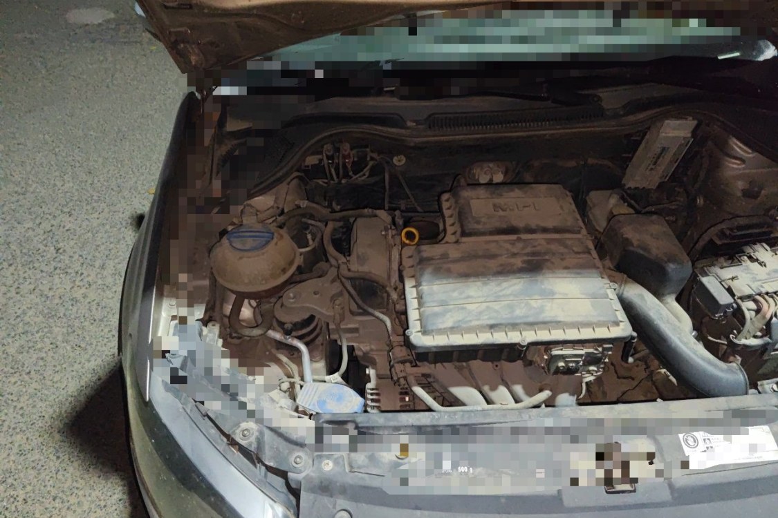 Volkswagen Polo 2015 immagine di auto #11