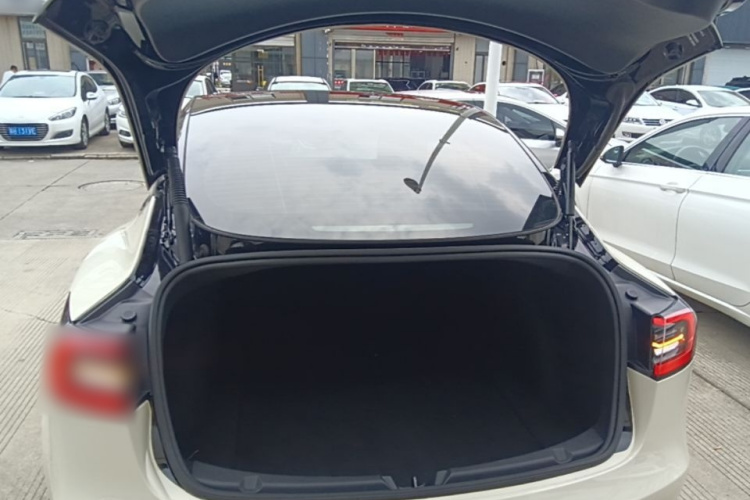Tesla Model 3 2021 immagine di auto #19