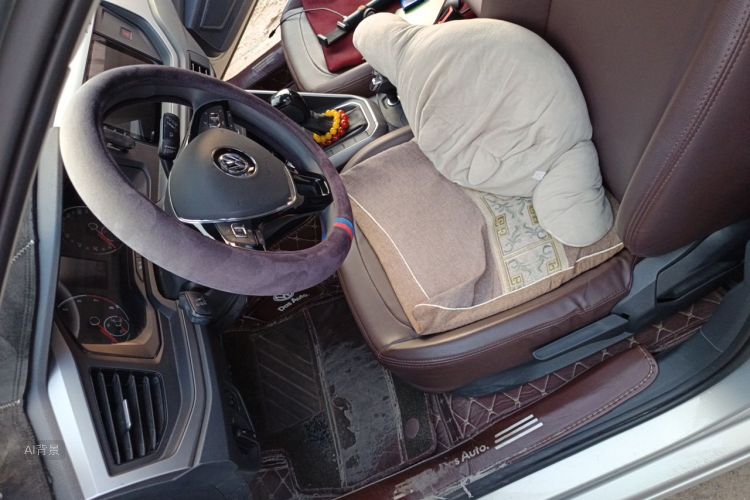 Volkswagen Polo 2020 car image #17