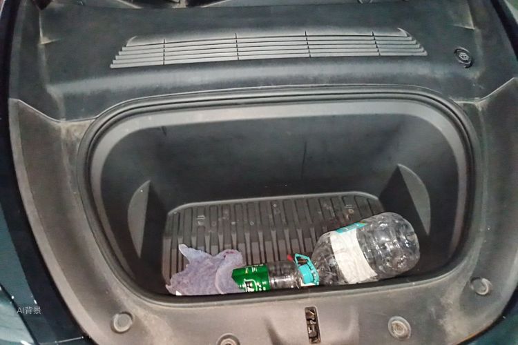 Tesla Model Y 2021 car image #22