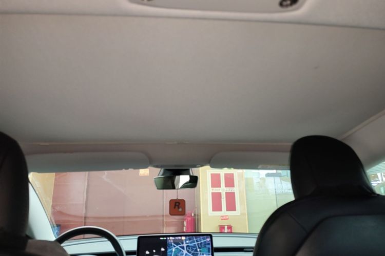 Tesla Model 3 2020 car image #18