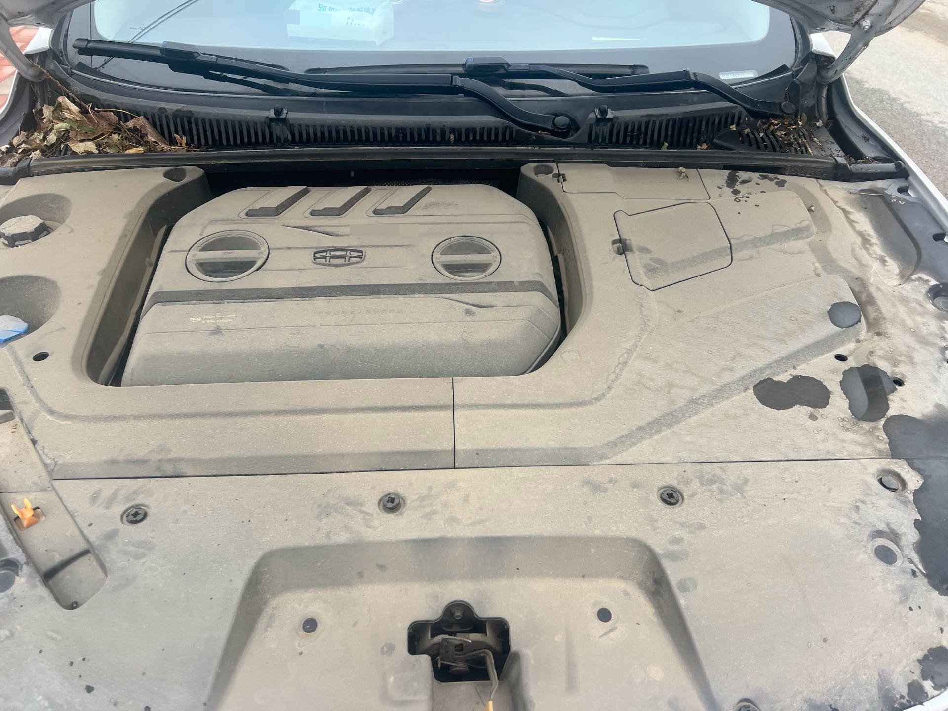 GEELY Binray 2020 car image #7