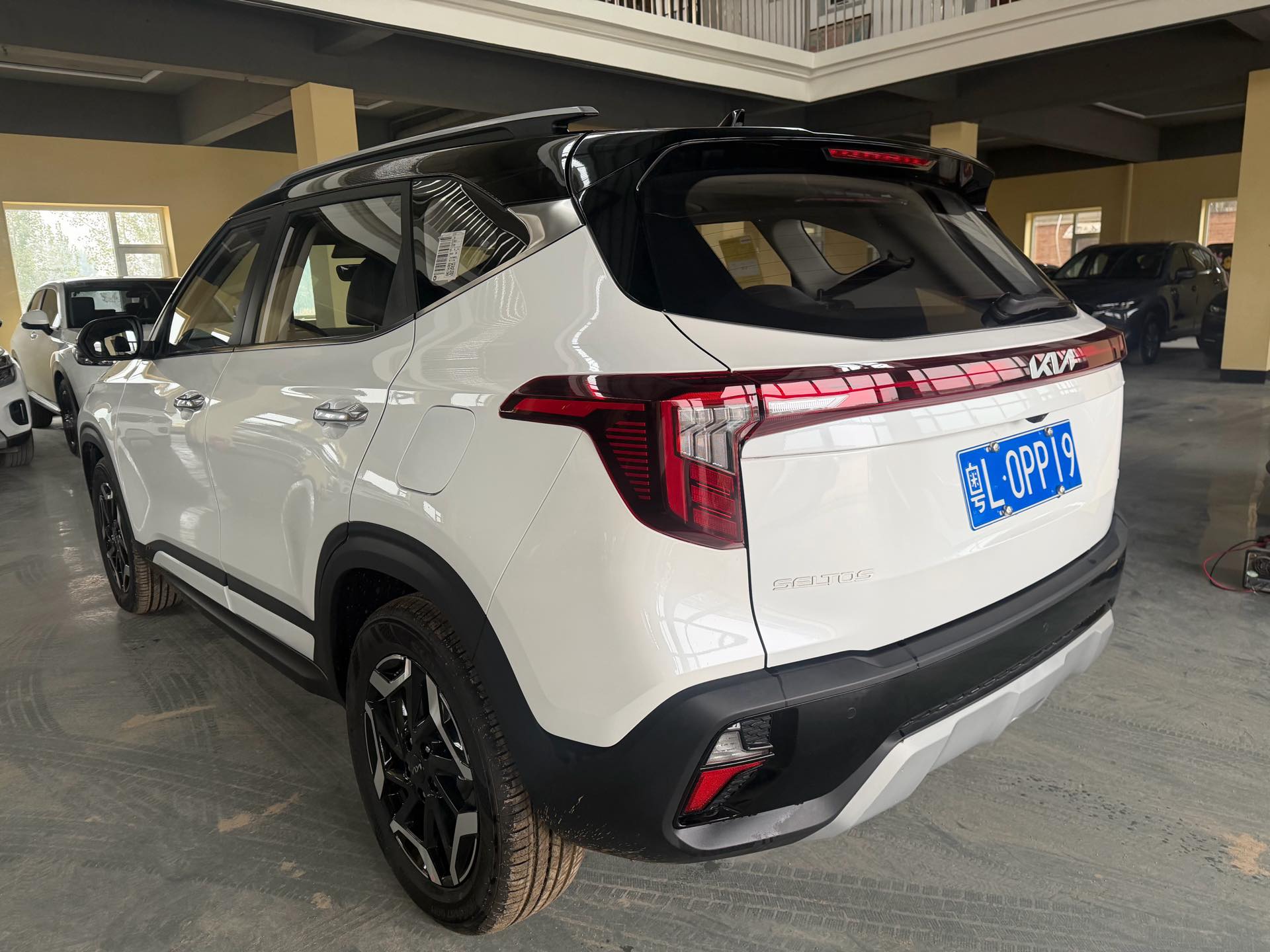 Kia Seltos 2023 car image #5